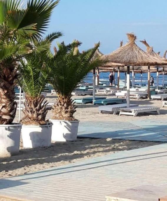 Alezzy Beach Apartament Prima Linie La Mare Năvodari Exterior foto